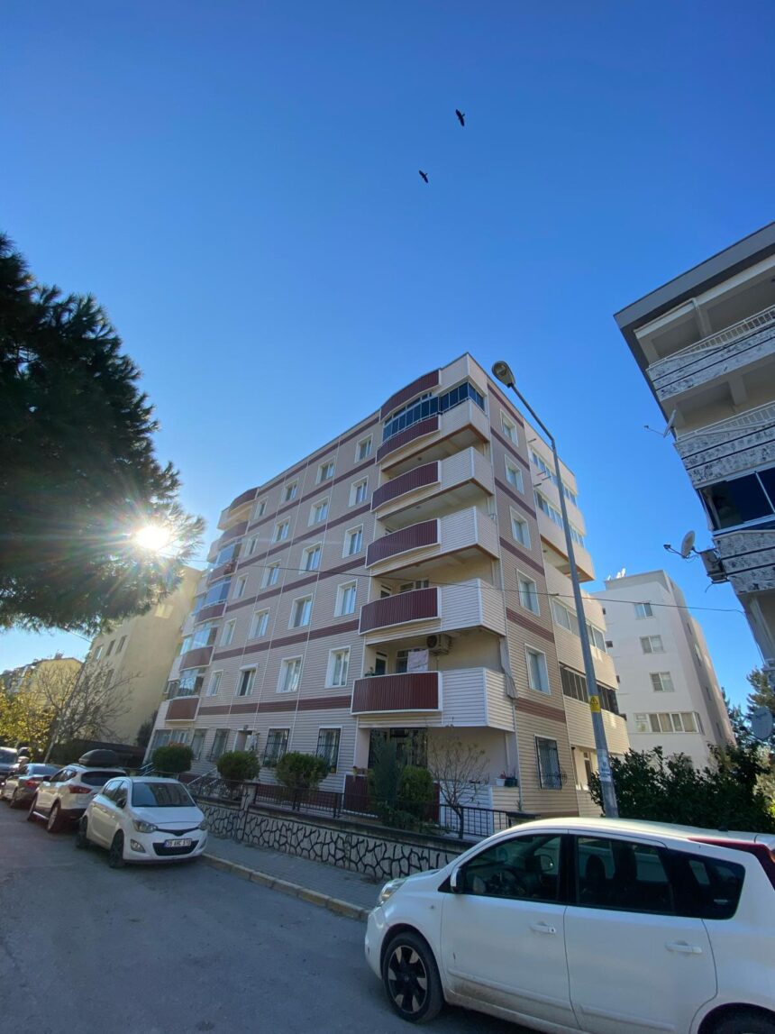 WhatsApp Image 2026-03-18 at 22.35.55 (1)